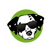 Spotted Dog